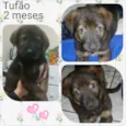 Tufão 