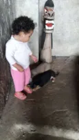 Não tem