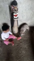 Não tem