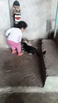 Não tem