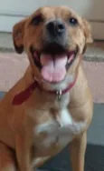 Tina