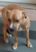 Tina