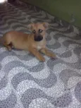 lupita