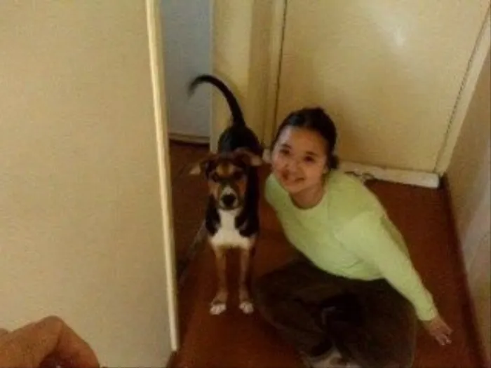 Cachorro raça Viralata idade 7 a 11 meses nome Menino