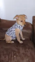 Lili