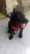 Bob
