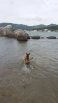 Netuno