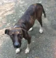 Espoleta