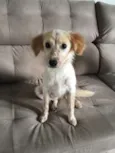 Lola