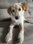 Lola