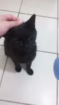 Não tem