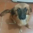 Madruguinha