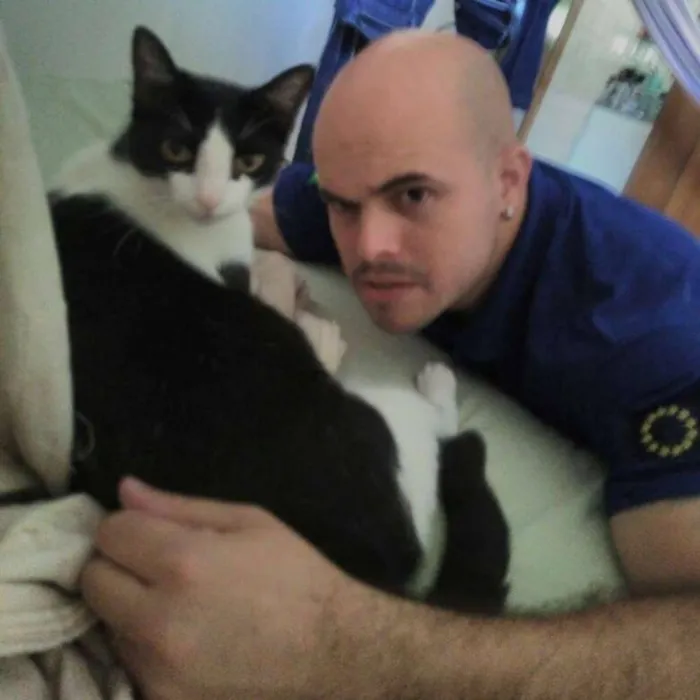 Gato ra a vira latinha(mais fofo do mundo!!!) idade 7 a 11 meses nome Cajá