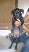 Boby