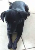 Nao possui nome