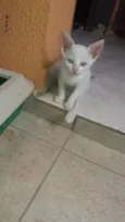 Johnny