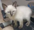 Maggie