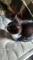 Margo