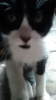 Margo