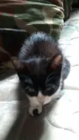 Margo