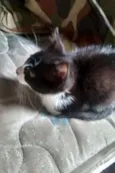 Margo