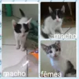 Sem nome