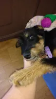 Felícia(Fê)