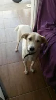 Thór