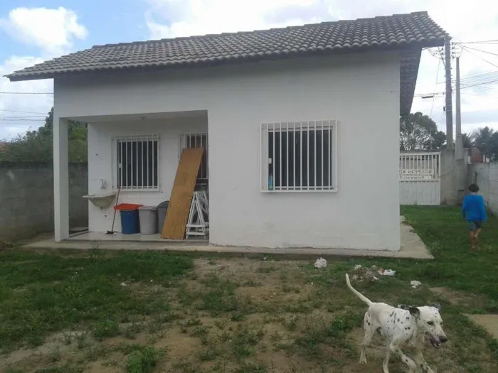 Cachorro raça Dalmata idade 4 anos nome Rufus