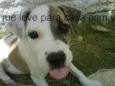 qualquer