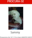 Samy