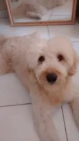Marley 