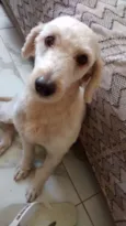 Marley 