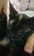 Lela e Lola