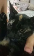 Lela e Lola