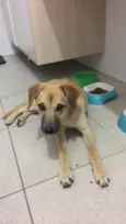 Não tem nome