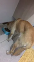 Não tem nome