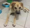Não tem nome