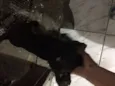 Nego Drama