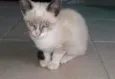 variado