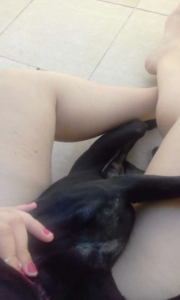 Cachorro ra a Cocker idade 7 a 11 meses nome Pretinha