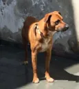 Billy