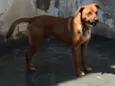 Billy