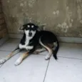 Neguinha
