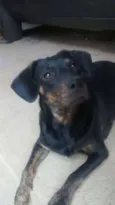 Bruce