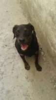 Bruce