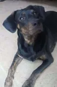 Bruce