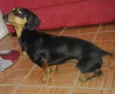 Jake