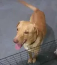 Marley