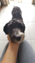 sem identificação